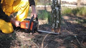 Best Leaf Removal Services  in Dade City, FL